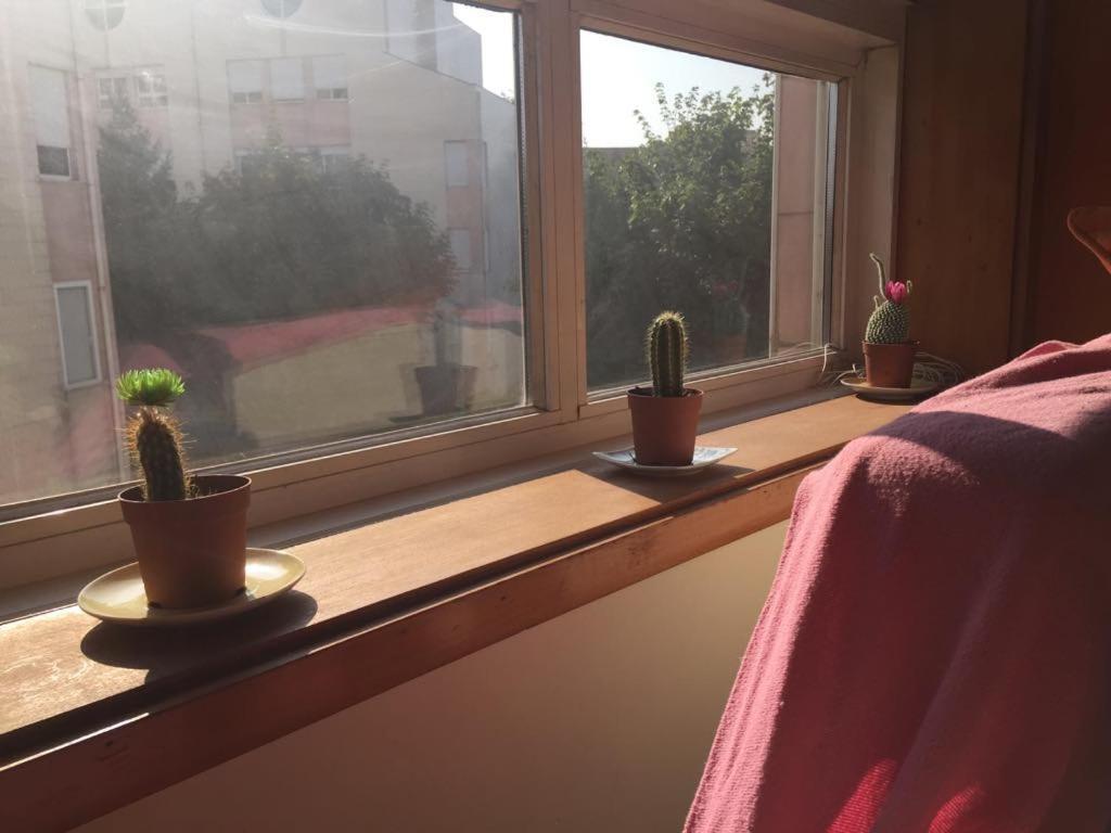 Enjoy It Home Porto 里奥廷托 外观 照片